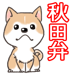 Taro Akita dog of Akita valve