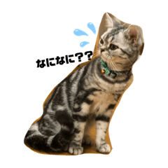 yukari_20200202230652