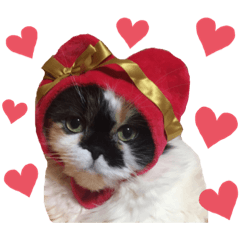 Natsumi_20200202230806