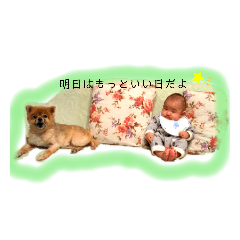Ponta_20200203000212