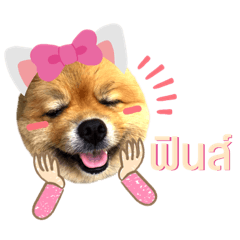 PeedPeed  Dog