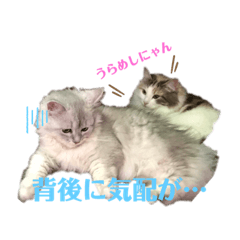 Rei_20200203000637