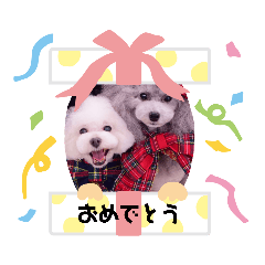 ken_20200203005857