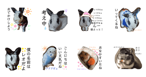 うちのペット うさぎetc Lineクリエイターズスタンプ Stamplist