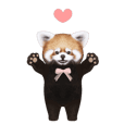 Red panda Lesser panda