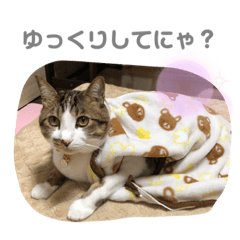 Rina_Uchino2nekostannpu9
