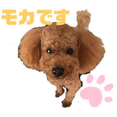 aoi_20200203124225