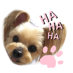 saori_20200203201642