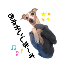 saori_20200203212732