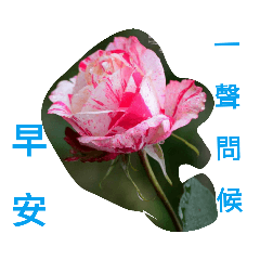 花照字