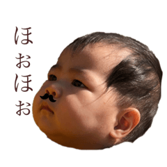 misae_20200203213548