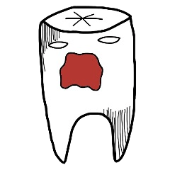The day when a molar is conspicuous