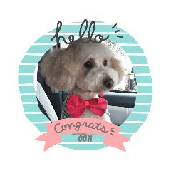 Junko_20200204005615