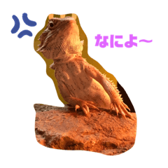 sayuri_20200203235137