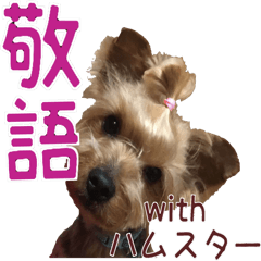 Happy days of a Yorkshire Terrier(Ver.4)