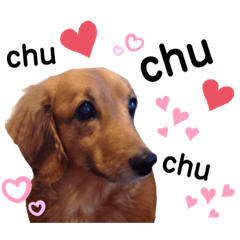 saori_20200204091518