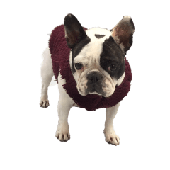 Miruchan is the best vol2