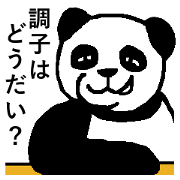 Nice Panda Guy