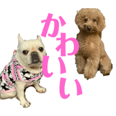 hana_20200204124348