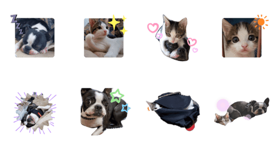犬と猫仲良し Lineクリエイターズスタンプ Stamplist 犬と猫仲良し Lineクリエイターズスタンプ Stamplist