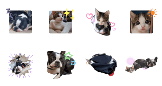 犬と猫仲良し Lineクリエイターズスタンプ Stamplist