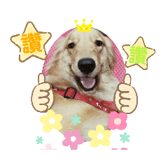 Bingo的內心戲