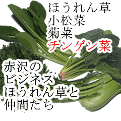 akazawa bijines nakamatati1455