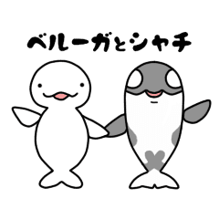 ベルーガとシャチ Line スタンプ Line Store ベルーガとシャチ Line スタンプ Line Store