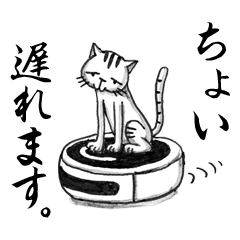 Days of Kansai cats