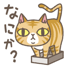 Red tabby cat mascot