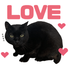 kazuki_20200204182255