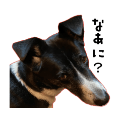 my family series 1 ann