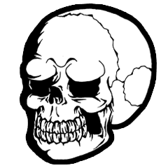 SKULL-kun2