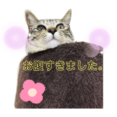 hana_20200204230320