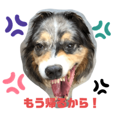 sayuri_20200204235355