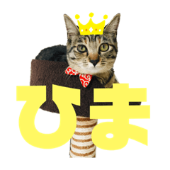 hana_20200204235835