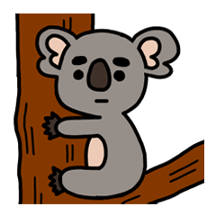 Leisurely Koala