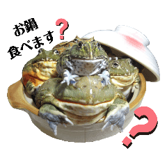 Haru Tvのline スタンプ一覧 Line Store Haru Tvのline スタンプ一覧 Line Store