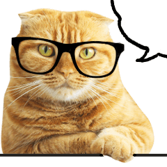 Scottishfold Cat's Daily Conversation/En