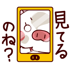 Pig Sticker.