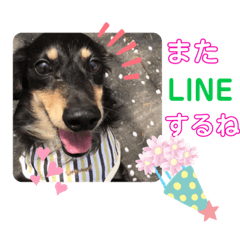 junko_20200205110951