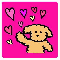 The wonderful every day of Toy Poodle