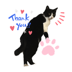 Nozomi_20200205152714