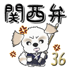 シーズー犬の関西弁36