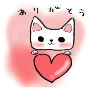 every day "cat"