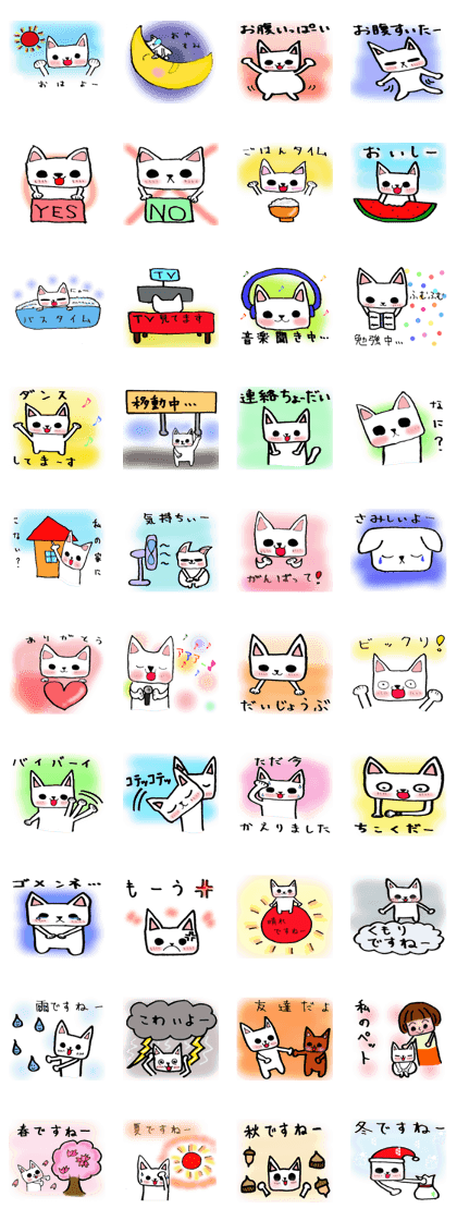 every day "cat"