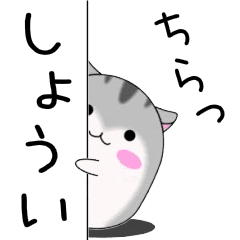 Move! Syoui designated name Sticker