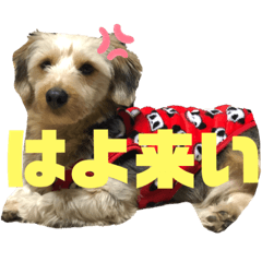 aoi_20200205170806