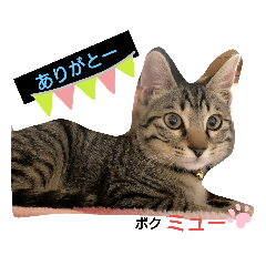 ★ミューすたんぷ★