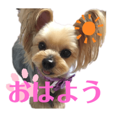 saori_20200205171950